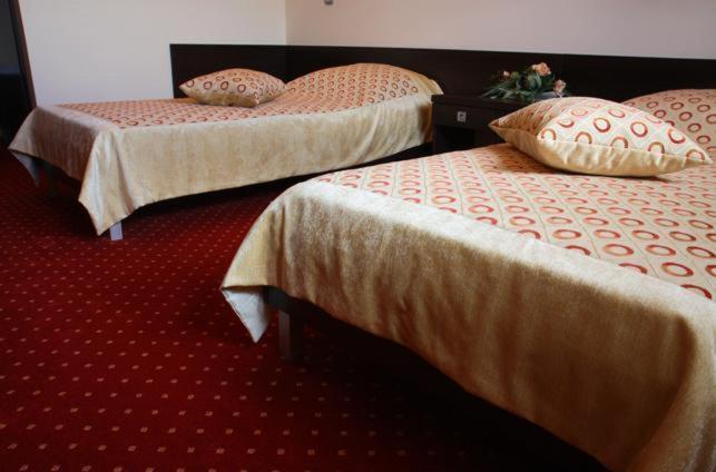 Hotel Wasik Krogulcza 객실 사진