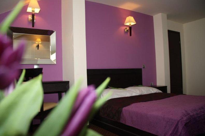 Hotel Wasik Krogulcza 객실 사진